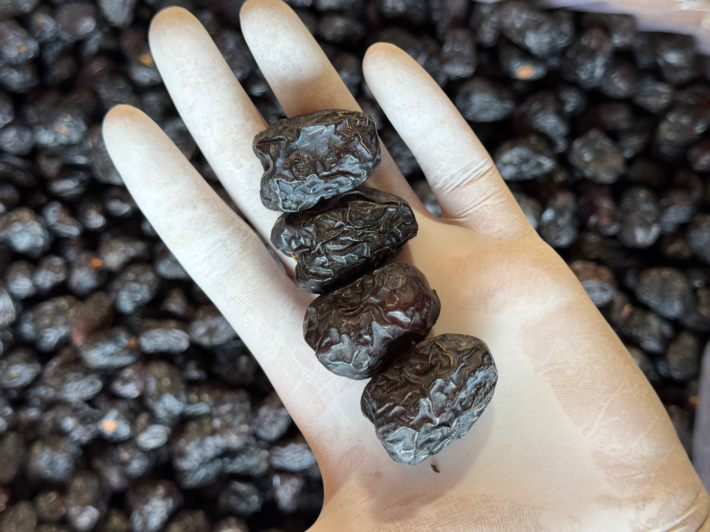 Ajwa Dates Classic | تمر العجوة الكلاسيك