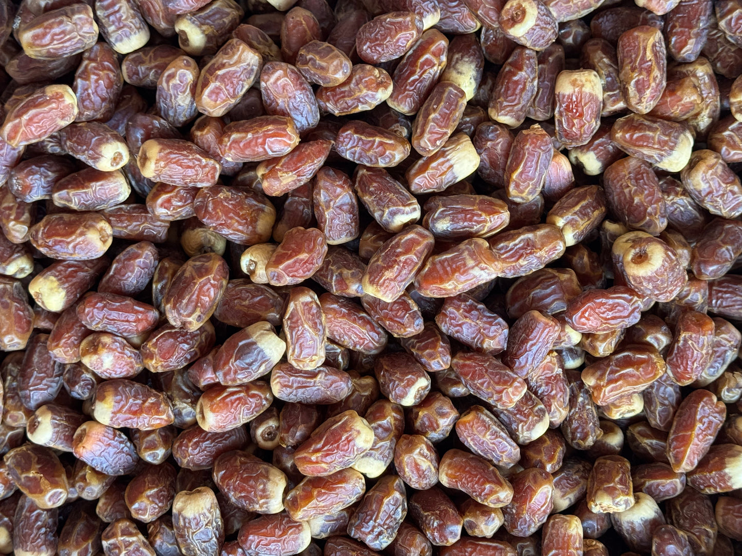 Sughai Special Dates | تمر الصقعي المميز