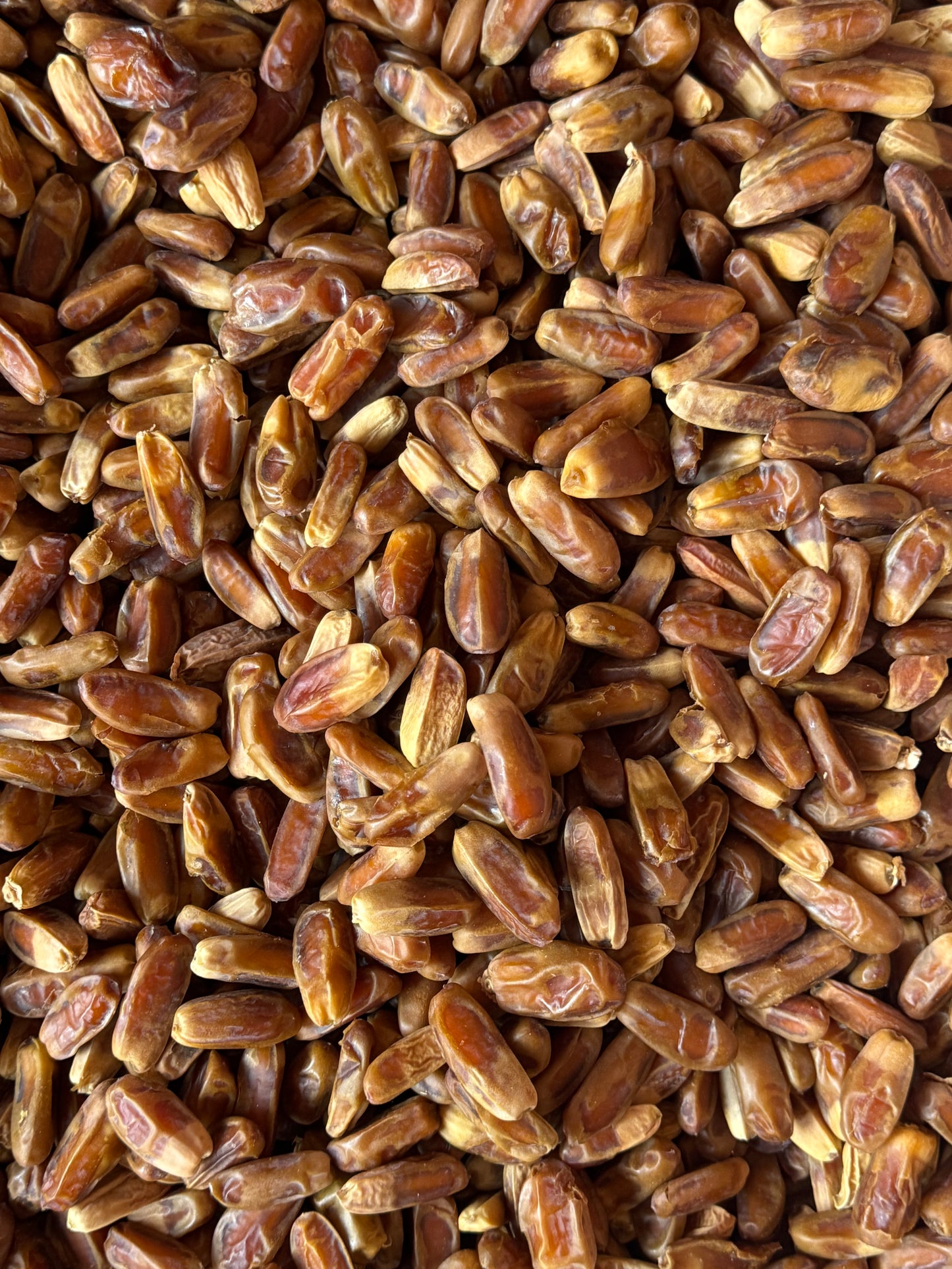 Sukhal Dates (Without Seeds) | تمر السخال بدون نوى