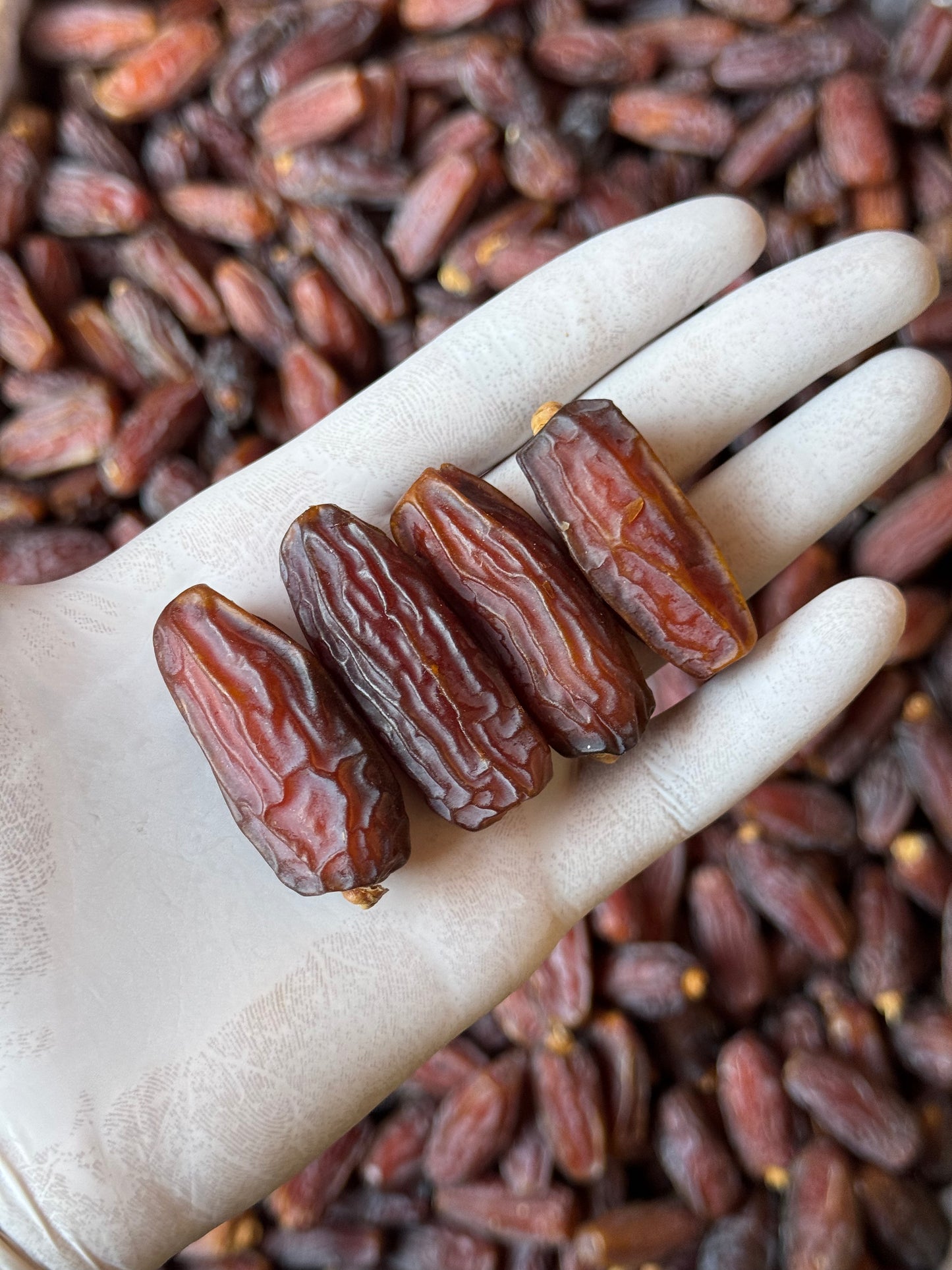 Mabroom Premium Jumbo | مبروم بريميوم جامبو