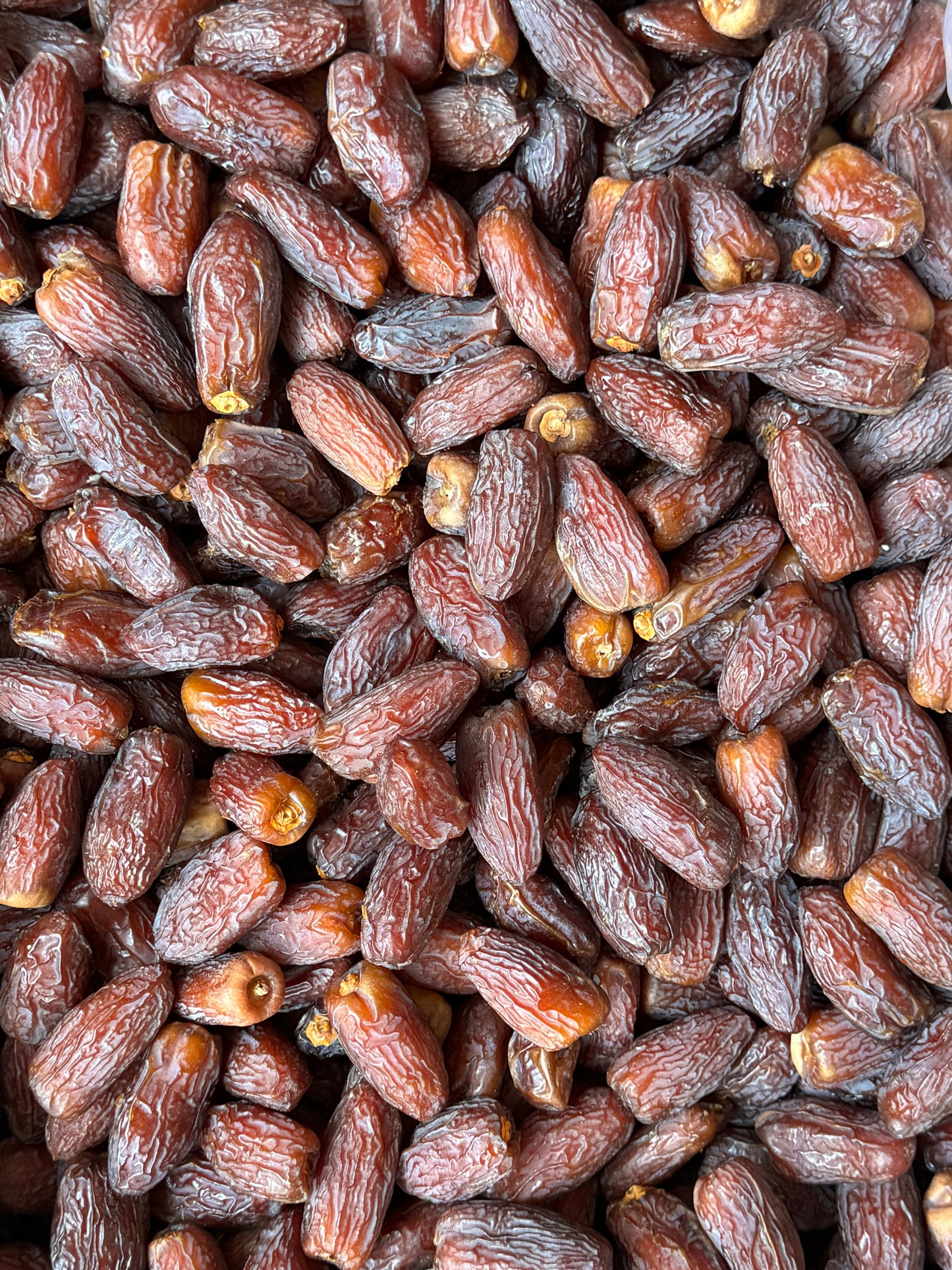 Medjool Madinah Dates | تمر المدينة المدجول